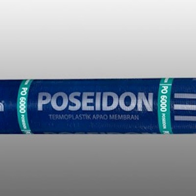 Poseidon PO6000