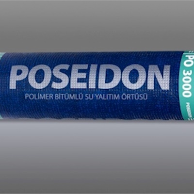 Poseidon PO3000